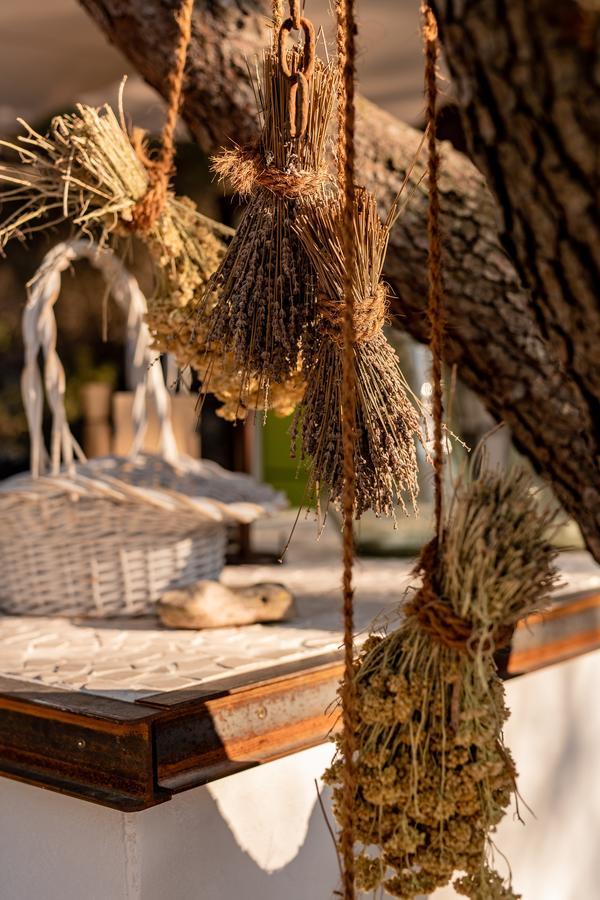 Plage Cachee - Glamping Vrboska Exterior foto